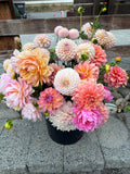 Bucket of Dahlias