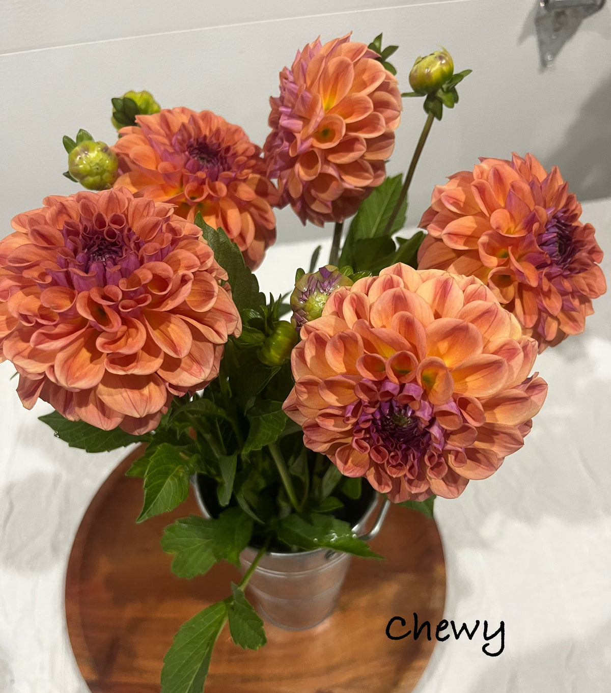 Chewy