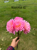 Ruthie G