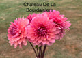 Chateau De La Bourdaisiere