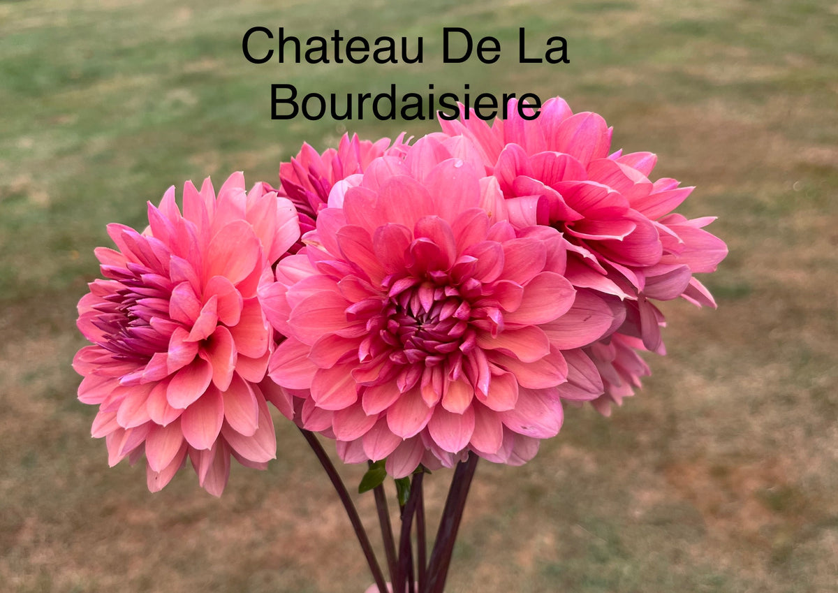 Chateau De La Bourdaisiere
