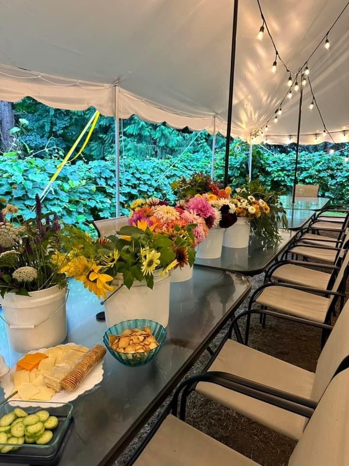 BLOOM BAR