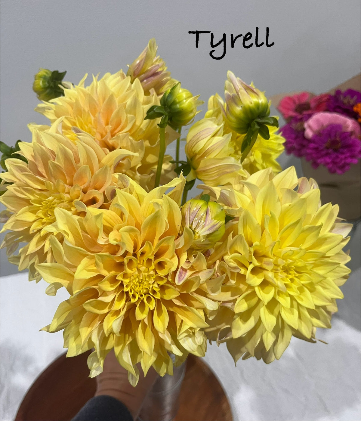 Tyrell