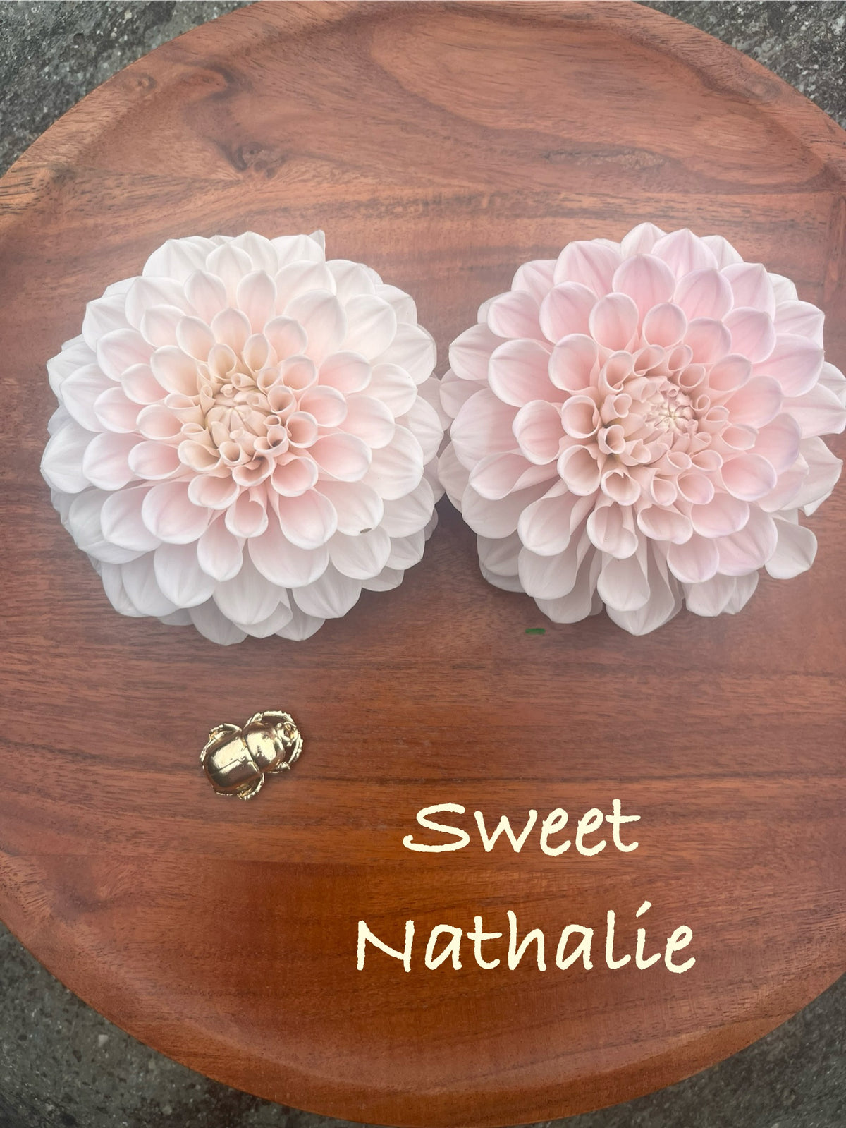 Sweet Nathalie