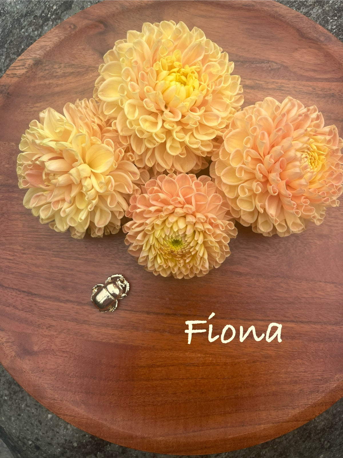 Fiona