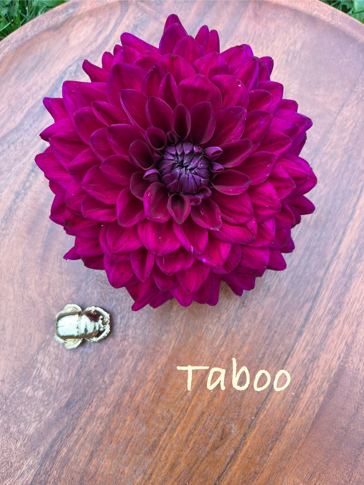 Taboo